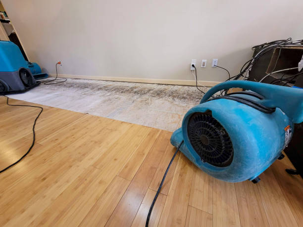 Professional Flood Damage Cleanup technician working in Searsmont, ME